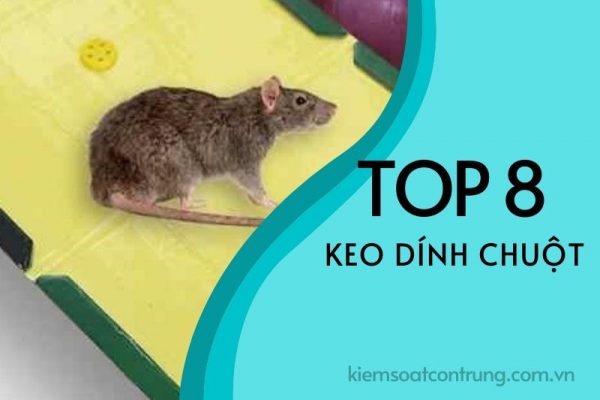 Top 8 keo dính chuột