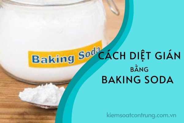 Cách diệt gián bằng baking soda