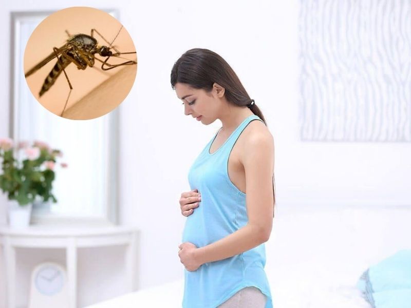 Phun thuốc diệt muỗi có ảnh hưởng đến bà bầu không
