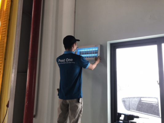 Top công ty diệt côn trùng tphcm
