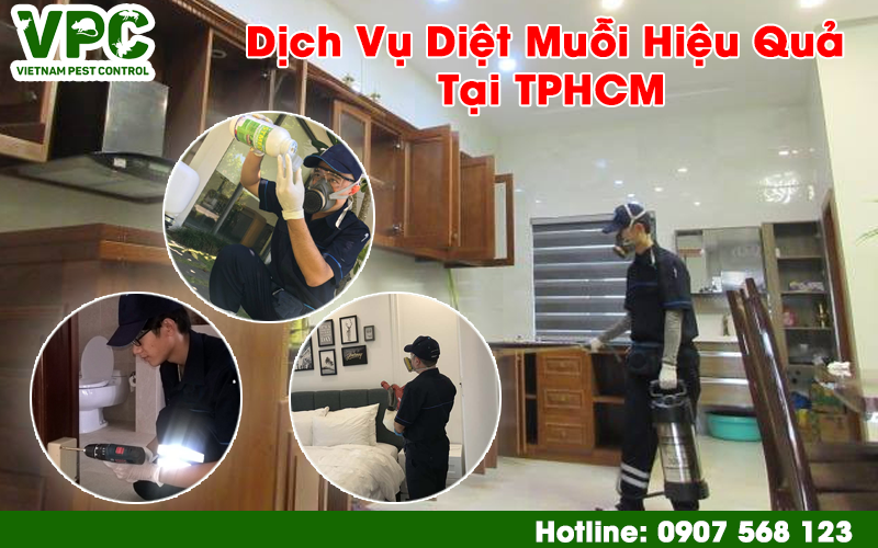 Dịch vụ diệt muỗi chuyên nghiệp TPHCM