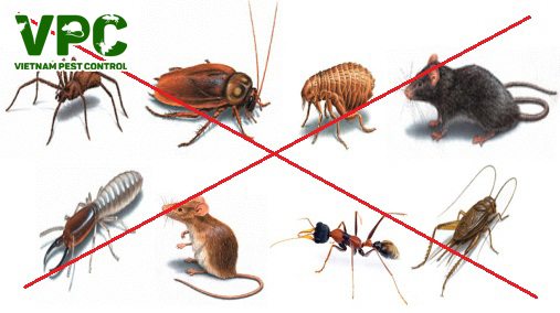 côn trùng gây hại