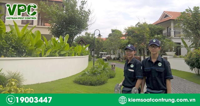 Công ty diệt mối