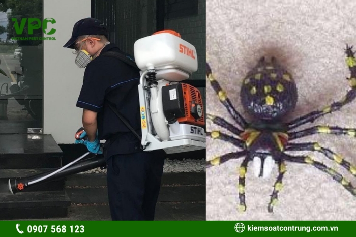 Dịch vụ diệt nhện của VPC nhằm đảm bảo an toàn môi trường sống xung quanh
