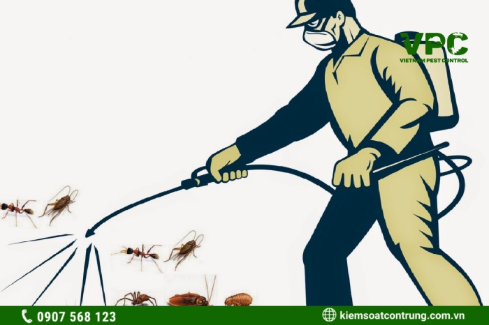 Dịch vụ kiểm soát côn trùng giúp diệt tận gốc các loại côn trùng có hại