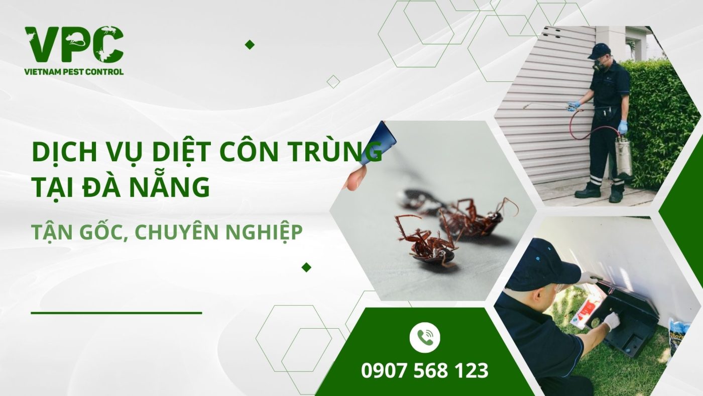Công ty diệt côn trùng tại Đà Nẵng - VPC