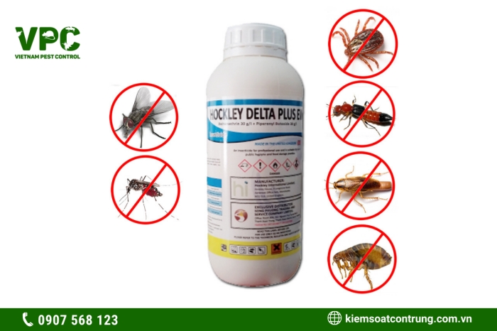Hockley delta plus EW - Thuốc diệt côn trùng tổng hợp Anh Quốc