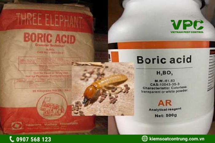Xử lý mối mọt bằng Boric acid