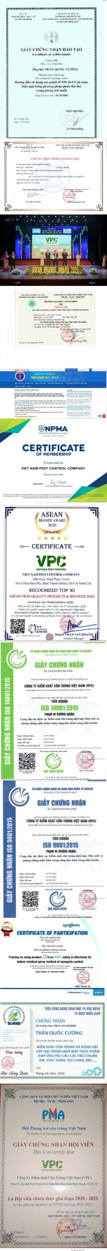 diệt mối quận 12