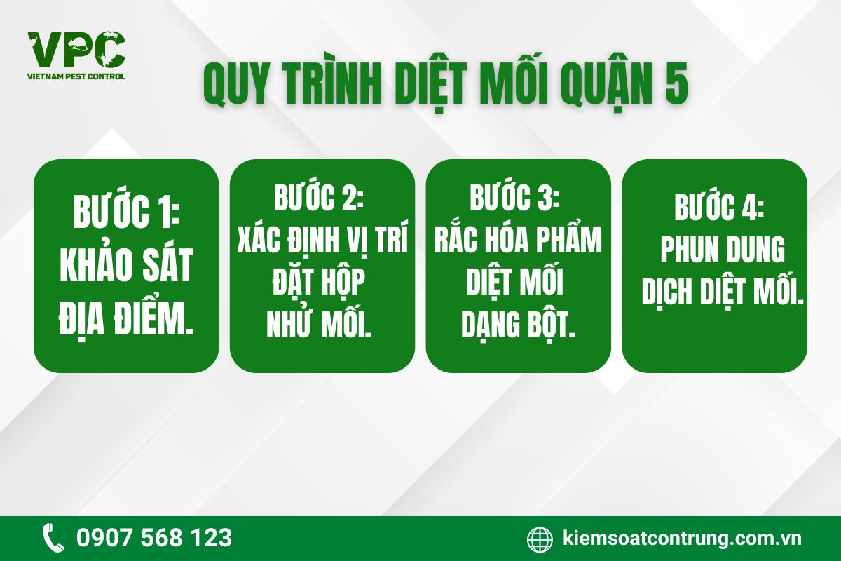 VPC thực hiện quy trình diệt mối Quận 5