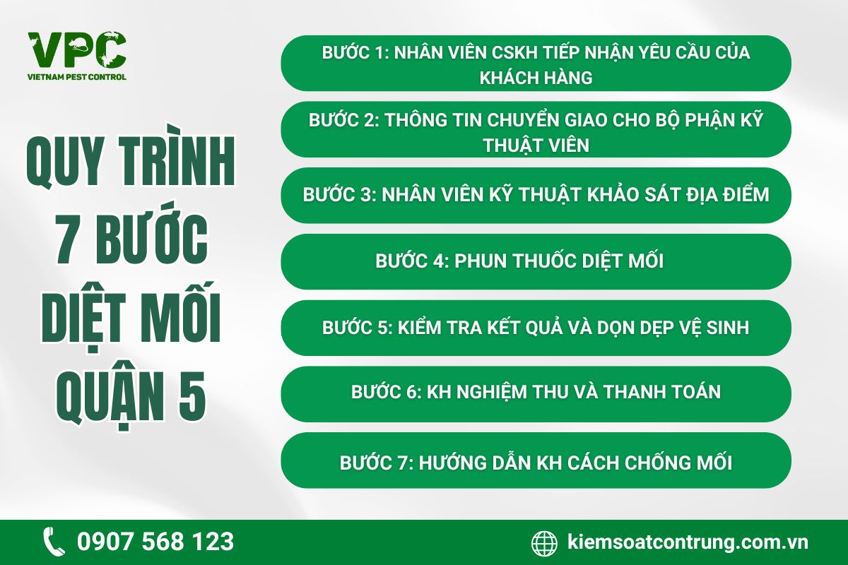 Quy trình VPC cung cấp dịch vụ diệt mối tại Quận 5