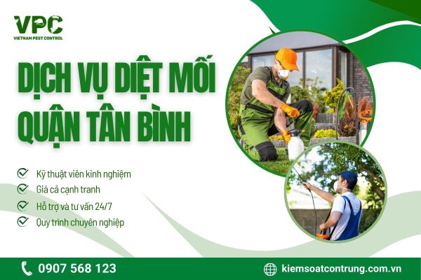 Ưu điểm nổi bật của dịch vụ diệt mối Tân Bình - VPC