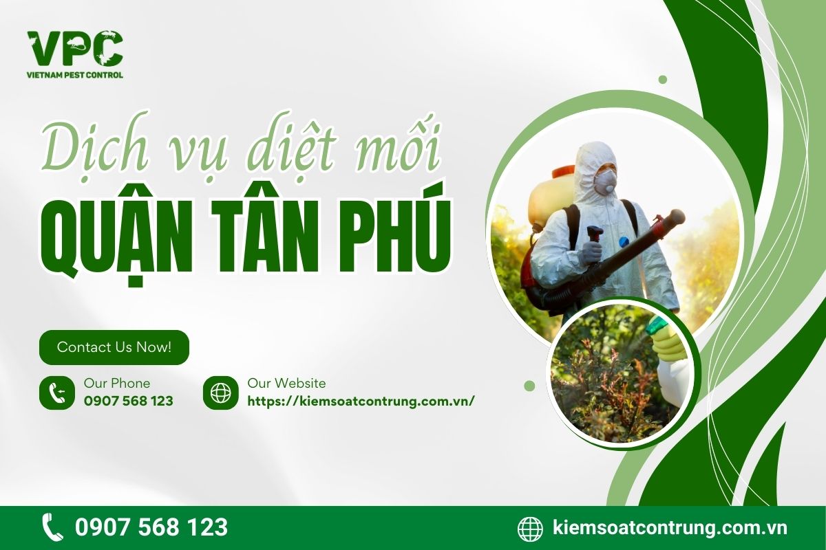 VPC - Công ty diệt mối quận Tân Phú uy tín số 1