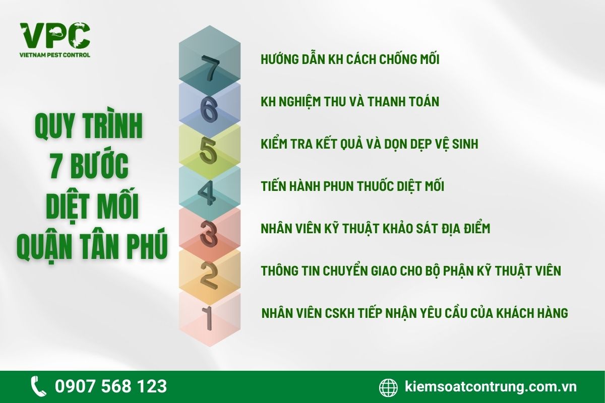 Quy trình 7 bước diệt mối quận Tân Phú chuyên nghiệp