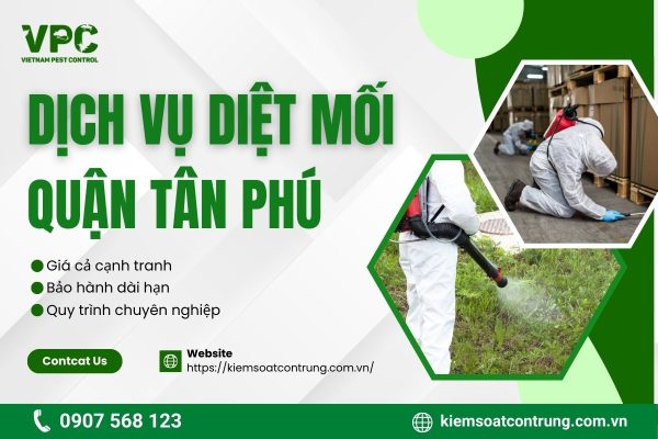 VPC cam kết chất lượng dịch vụ diệt mối quận Tân Phú