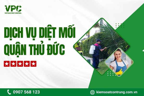 Lý do khách hàng lựa chọn dịch vụ diệt mối Thủ Đức của VPC