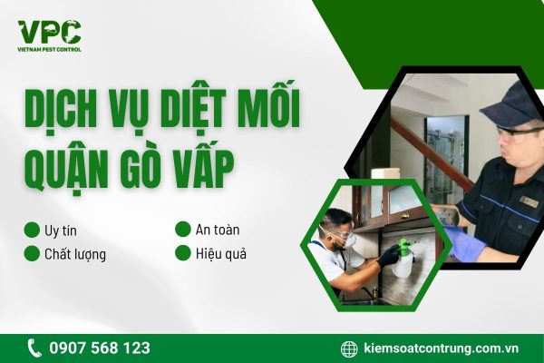 Tại sao phải sử dụng dịch vụ diệt mối quận Gò Vấp?