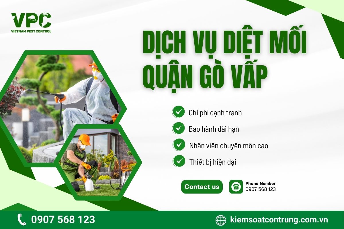 Cam kết chất lượng dịch vụ diệt mối quận Gò Vấp tại VPC