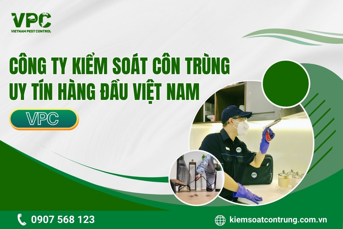 Giới thiệu khái quát VPC