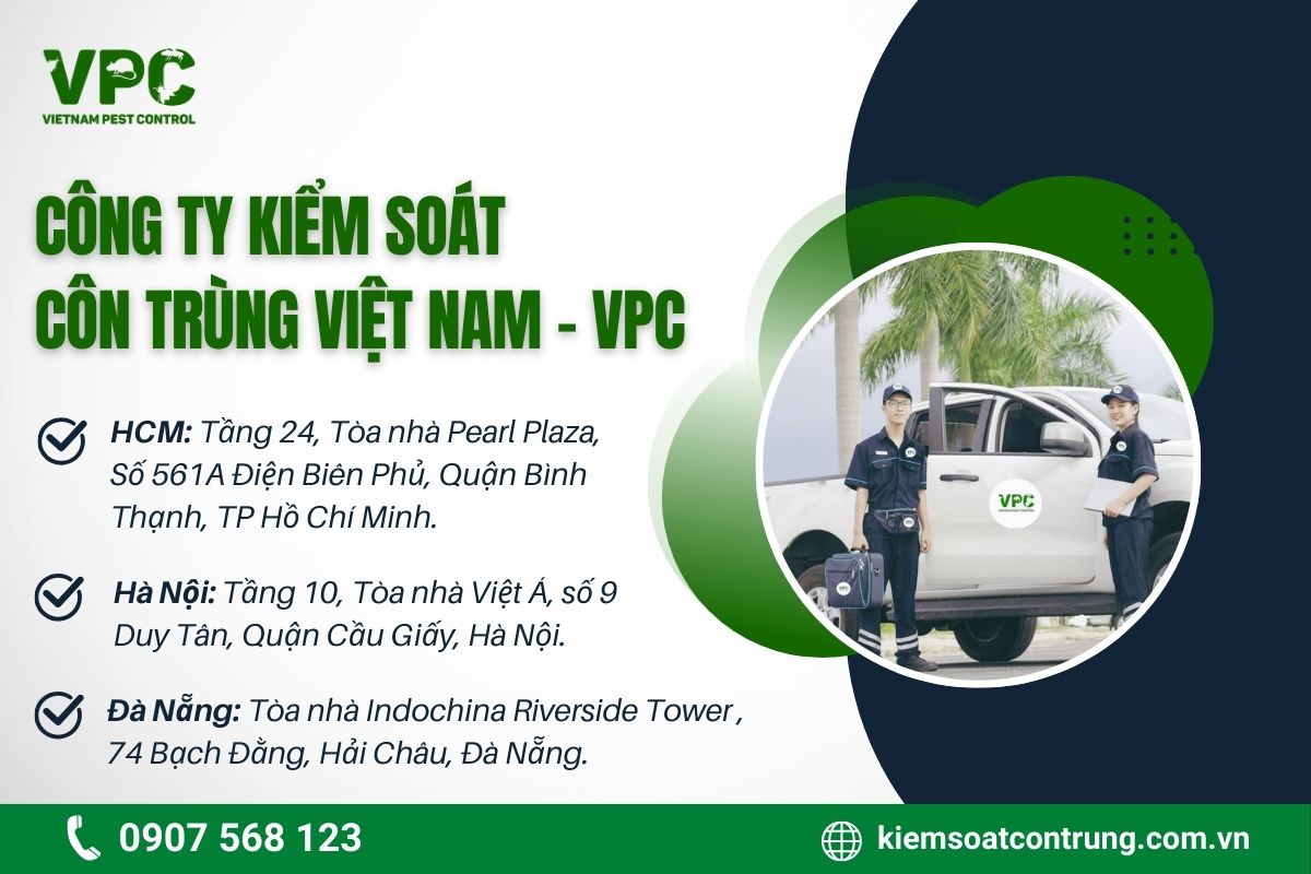 Lịch sử hình thành công ty VPC