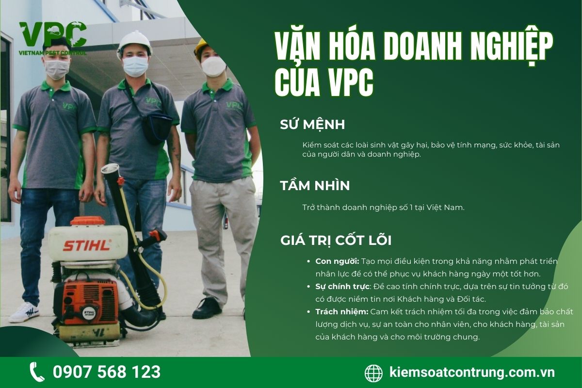 Văn hóa doanh nghiệp VPC